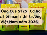 Gạo Ông Cua ST25: Cơ hội phục hồi mạnh thị trường gạo Việt Nam năm 2026