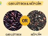 Gạo lứt đen có phải là gạo nếp cẩm không?