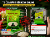 Gạo ST25 dỏm từ cửa hàng đến kênh online