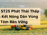 Gạo ST25 Phát Thải Thấp - Liên Kết Nông Dân Vùng Lúa Tôm Bền Vững
