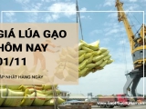 Giá lúa gạo hôm nay 1/11/2024: Giá lúa tăng nhẹ 100 đồng/kg