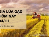 Giá lúa gạo hôm nay 4/11/2024: Giá gạo tăng nhẹ 50 đồng/kg; giá lúa ổn định