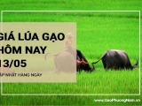 Giá lúa gạo hôm nay ngày 13/05/2024: Gạo thành phẩm IR 504 tăng 150 đồng/kg