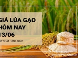 Giá lúa gạo hôm nay ngày 13/06/2024: Tiiếp tục xu hướng đi ngang