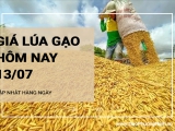 Giá lúa gạo hôm nay ngày 13/07/2024: Tăng giảm trái chiều giữa các loại gạo