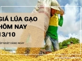 Giá lúa gạo hôm nay ngày 13/10/2024:  Giá gạo tăng 100 đồng/kg. Giá lúa duy trì ổn định