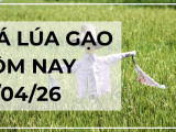 Giá Lúa Gạo Hôm Nay Ngày 13/4/2026 : Giao Dịch Trầm Lắng 