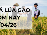 Giá Lúa Gạo Hôm Nay Ngày 16/4/2026: Thị Trường Chững Nhịp