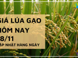 Giá lúa gạo hôm nay ngày 18/11/2023: Giá chững lại và đi ngang 