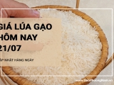 Giá lúa gạo hôm nay ngày 21/07/2024: Giá lúa biến động, giá gạo ổn định