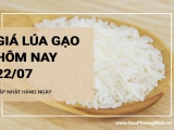 Giá lúa gạo hôm nay ngày 22/07/2024: Giá lúa biến động, giá gạo ổn định