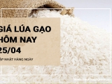 Giá lúa gạo hôm nay ngày 25/04/2024: Giá gạo bất ngờ quay đầu giảm
