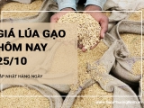 Giá lúa gạo hôm nay ngày 25/10/2024: Mặt hàng lúa và gạo duy trì đà ổn định