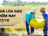 Giá lúa gạo hôm nay ngày 27/10/2024: Mặt hàng lúa gạo điều chỉnh tăng, giảm trái chiều