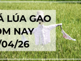 Giá Lúa Gạo Hôm Nay Ngày 29/4/2026: Thị Trường Chững Lại