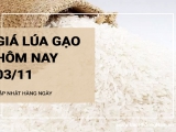 Giá lúa gạo hôm nay 3/11/2024: Giá gạo tăng, giảm trái chiều