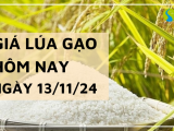 Giá lúa gạo hôm nay 13/11/2024: Giá gạo xuất khẩu giảm mạnh 4 - 7 USD/tấn