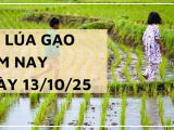 Giá Lúa Gạo Hôm Nay Ngày 13/10/2025: Giao Dịch Trầm Lắng