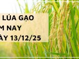 Giá Lúa Gạo Hôm Nay Ngày 13/12/2025: Gạo Thơm Tiếp Tục Neo Giá