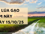 Giá Lúa Gạo Hôm Nay Ngày 15/10/2025: Giao Dịch Mua Bán Chậm