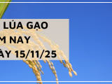 Giá Lúa Gạo Hôm Nay Ngày 15/11/2025: Giao Dịch Chậm