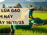 Giá Lúa Gạo Hôm Nay Ngày 17/11/2025: Giá Đi Ngang
