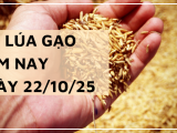 Giá Lúa Gạo Hôm Nay Ngày 22/10/2025: Giá Lúa Gạo Đi Ngang