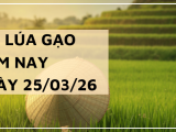 Giá Lúa Gạo Hôm Nay Ngày 25/3/2026: Giao Dịch Chậm