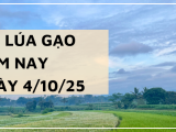 Giá Lúa Gạo Hôm Nay Ngày 4/10/2025: Giá Lúa Gạo Ổn Định
