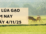 Giá Lúa Gạo Hôm Nay Ngày 4/11/2025: Gạo Nguyên Liệu Giảm Nhẹ