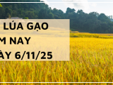 Giá Lúa Gạo Hôm Nay Ngày 6/11/2025: Giao Dịch Lúa Gạo Chững Lại