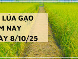 Giá Lúa Gạo Hôm Nay Ngày 8/10/2025: Giao Dịch Lúa Gạo Chững Lại
