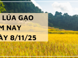Giá Lúa Gạo Hôm Nay Ngày 8/11/2025: Giá Gạo Nhích Nhẹ