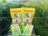Kỹ sư Hồ Quang Cua: Gạo ST25 lúa tôm hộp 2kg khác gì túi 5kg?