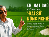Khi hạt gạo trở thành “đại sứ nông nghiệp”
