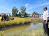 Kỹ sư Hồ Quang Cua: Một đời làm khoa học giữa đồng ruộng Đổi mới