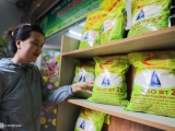 Gạo Việt tăng cường xuất khẩu trên trường quốc tế 