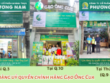 Địa điểm bán gạo ST25 (kỹ sư Hồ Quang Cua) chính hãng vào dịp tết