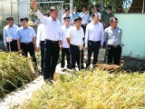 Xứ Sở Hạt Gạo “Ngon Nhất Thế Giới”