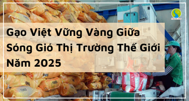 Gạo Việt Vững Vàng Giữa Sóng Gió Thị Trường Thế Giới Năm 2025