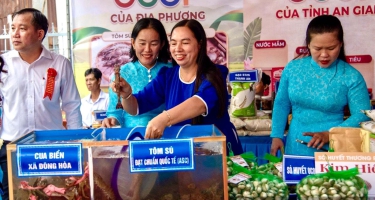 Từ chuyện tôm - lúa Đông Hòa đạt chuẩn quốc tế ASC: Đề án 1 triệu ha giúp được gì?