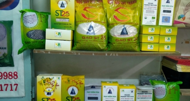 Chi nhánh phân phối gạo Sóc Trăng - Gạo ngon nhất thế giới từ DNTN Hồ Quang Trí