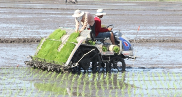 Tháo gỡ những “nút thắt” từ đâu?