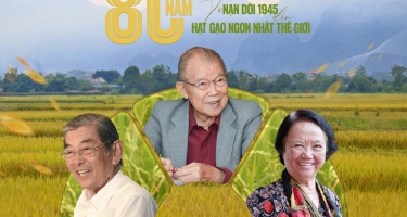 80 năm cây lúa Việt: Từ nạn đói 1945 đến hạt gạo ngon nhất thế giới