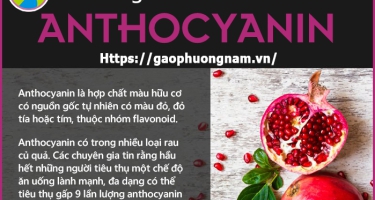 Anthocyanin là gì?