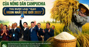 Bí quyết “độc lạ” của nông dân Campuchia, thu được loại “Gạo ngon nhất thế giới 2025”