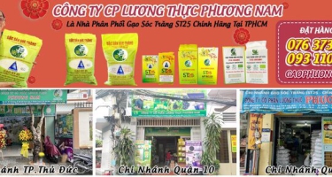 Chi nhánh Gạo ST25 chính hãng DNTN Hồ Quang Trí tại TP.Hồ Chí Minh