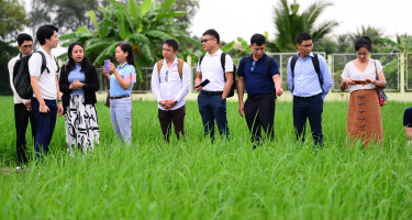 ‘Cha đẻ’ gạo ST25: Luân canh lúa - tôm là mô hình độc, lạ