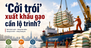“Cởi trói” xuất khẩu gạo cần lộ trình: Mở cửa thị trường nhưng không thể buông lỏng chất lượng