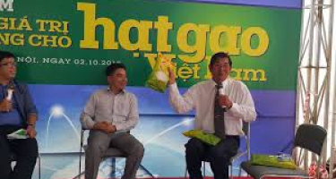 Gạo ST25 đoạt giải “Cuộc thi gạo ngon nhất Việt Nam” năm 2020 
